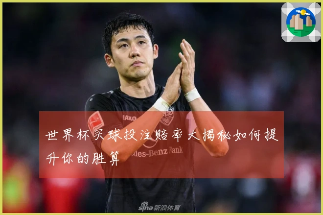 世界杯买球投注赔率大揭秘如何提升你的胜算