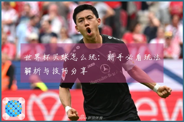世界杯买球怎么玩：新手必看玩法解析与技巧分享