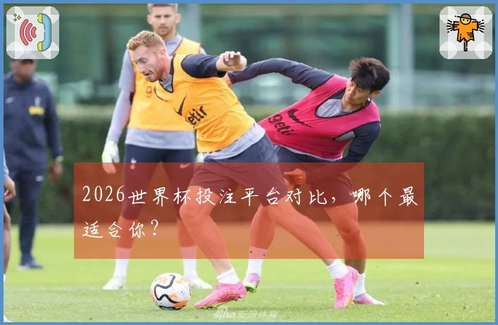 2026世界杯投注平台对比，哪个最适合你？