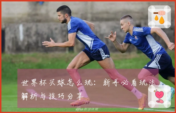 世界杯买球怎么玩：新手必看玩法解析与技巧分享